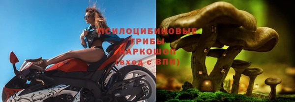 амф Абаза