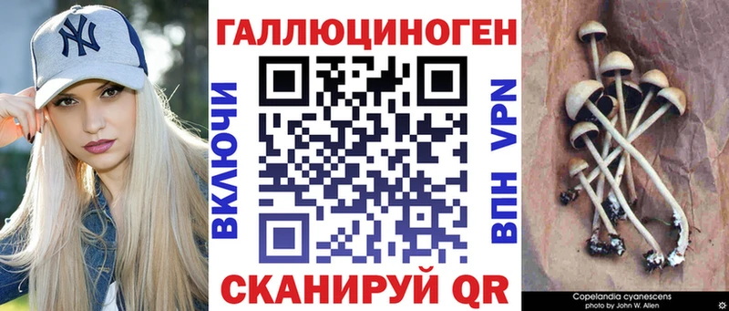 наркота  Приволжский  MEGA как зайти  Псилоцибиновые грибы прущие грибы 
